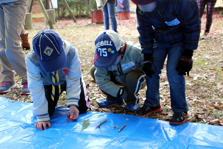 オープンスカウト [1/6] img_6322