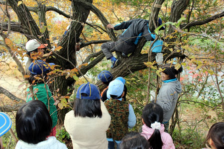 オープンスカウト [2/6] img_6331
