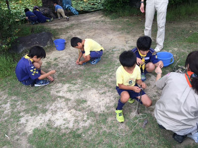 いきもの観察 [1/5] img_6839