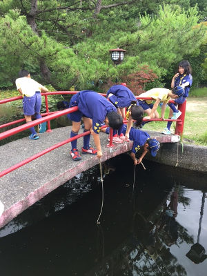 いきもの観察 [2/5] img_6853