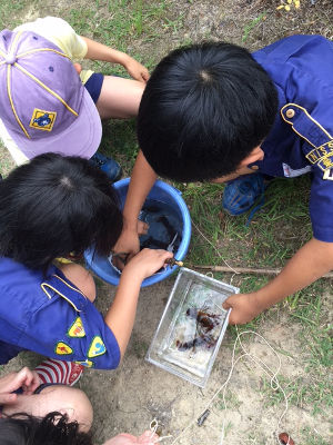 いきもの観察 [4/5] img_6857