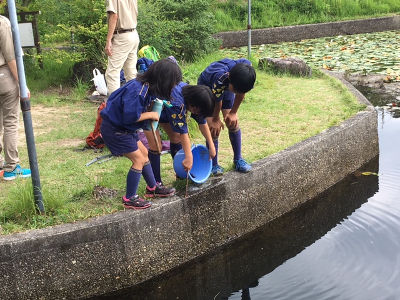 いきもの観察 [5/5] img_6859