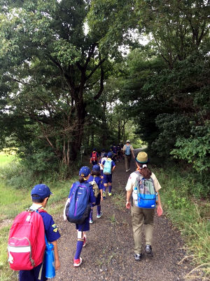 自然観察 [1/4] img_7745