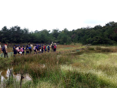 自然観察 [3/4] img_7751