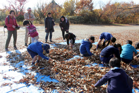 オープンスカウト [2/6] img_8156