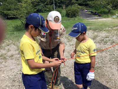 ピカッと探検家? [1/3] line_24752753802222