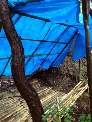 カブ隊基地始動! [1/4] line_291512604106