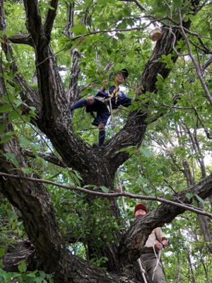 オープンスカウト [1/5] line_48970922677150