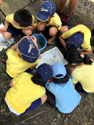 水質調査 [2/2] line_49283412113386