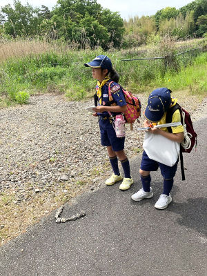 基本動作マスター [2/4] line_66561188621638