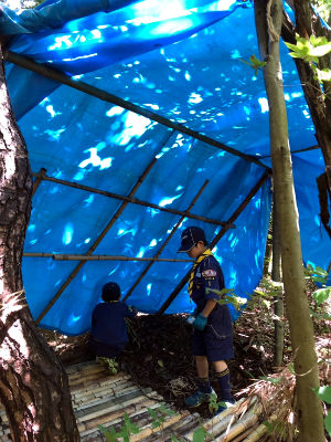 基地作り [2/2] line_79041680955836