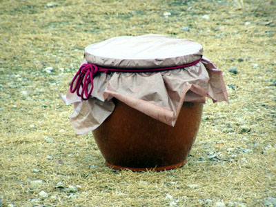 タイムカプセル [3/3] p1090028