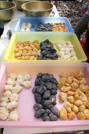 左義長・餅つき [5/6] pict2488