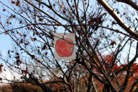 オープンスカウト [2/10] img_8140