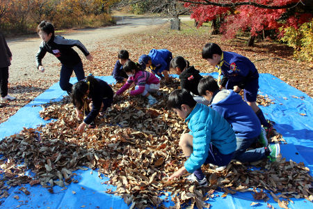オープンスカウト [3/10] img_8155