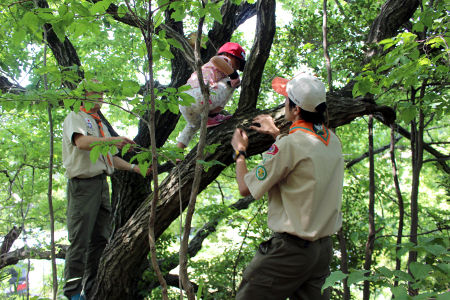 オープンスカウト [2/8] img_8846