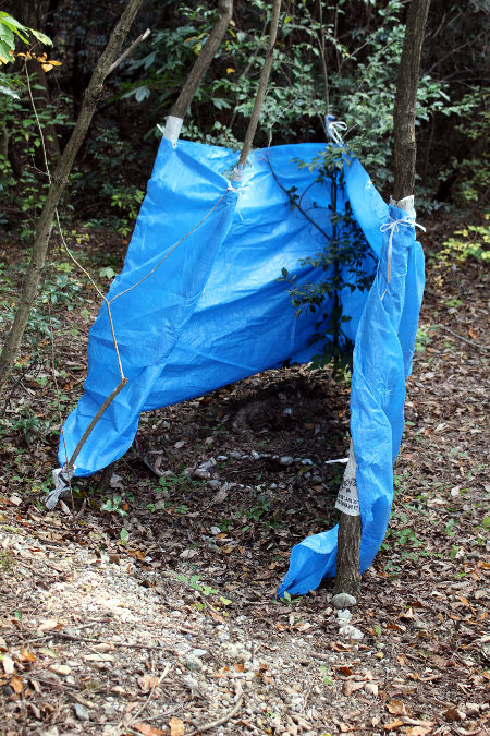 立ちかまど野外料理選手権 [6/7] img_9561