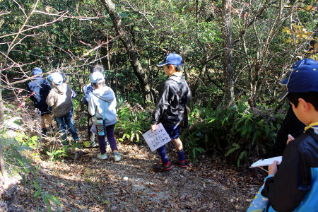 オープンスカウト [3/3] img_1967