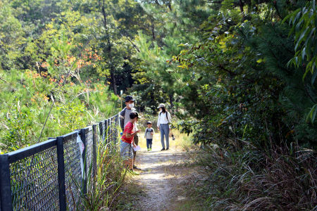 オープンスカウト [6/8] img_3831