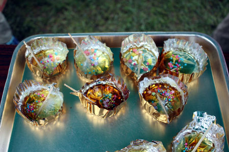 オープンスカウト [4/4] img_4079