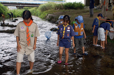 班集会(水生生物調査) [3/3] pict3802
