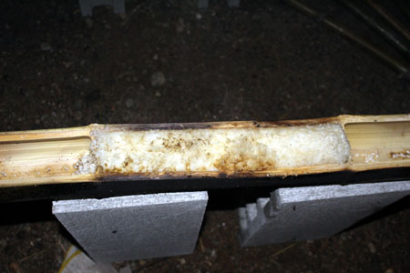 隊集会(一泊野営、オープンスカウト) [3/6] img_0048