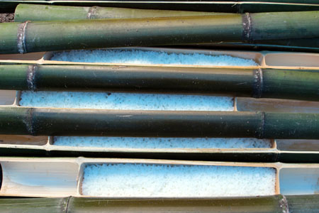 団行事 [3/5] img_3312