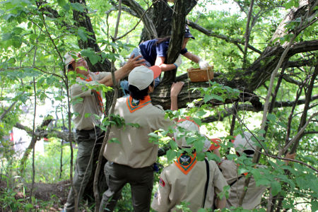 団行事(オープンスカウト奉仕) [2/3] img_8862