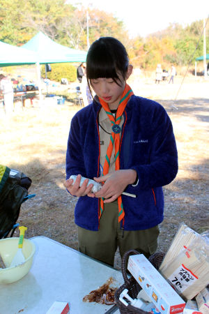 団行事(オープンスカウト奉仕) [1/4] img_1966