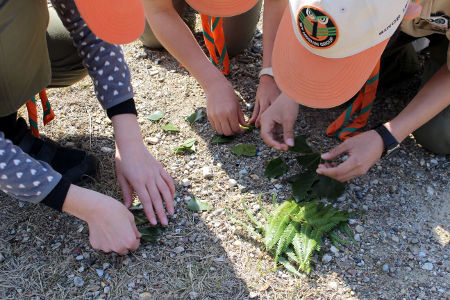 一泊野営 [1/6] img_2295