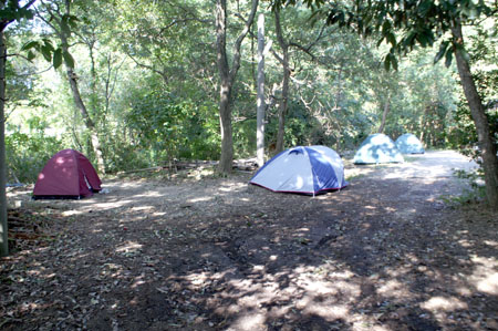 単独キャンプ [1/1] pict3067