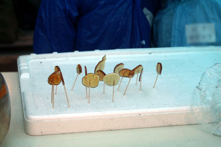 団行事 [1/3] pict4929