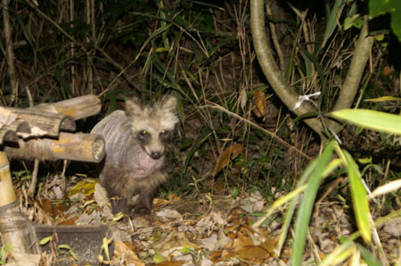 クリスマス会奉仕 [2/2] pict0204