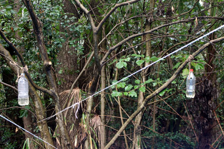 プロジェクト [1/2] img_3554