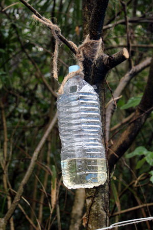 プロジェクト [2/2] img_3555