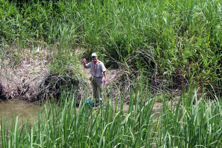 ゴミゼロ清掃奉仕 [1/2] img_0375